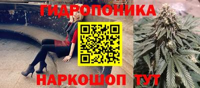 гашик Апрелевка