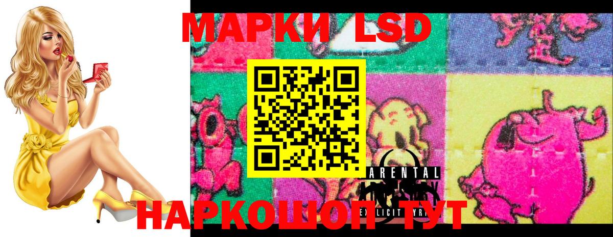 ЛСД экстази ecstasy  Вход с VPN  Ачхой-Мартан  ЛСД экстази кислота 