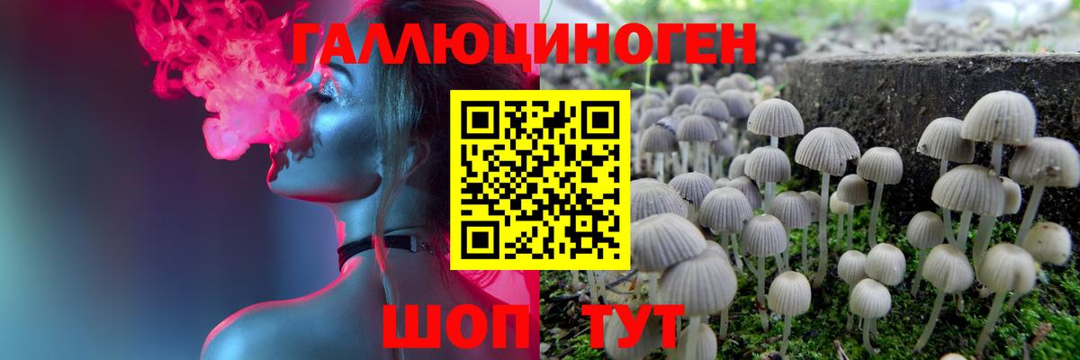 Ачхой-Мартан  Галлюциногенные грибы GOLDEN TEACHER  Галлюциногенные грибы Magic Shrooms  Вход с VPN 