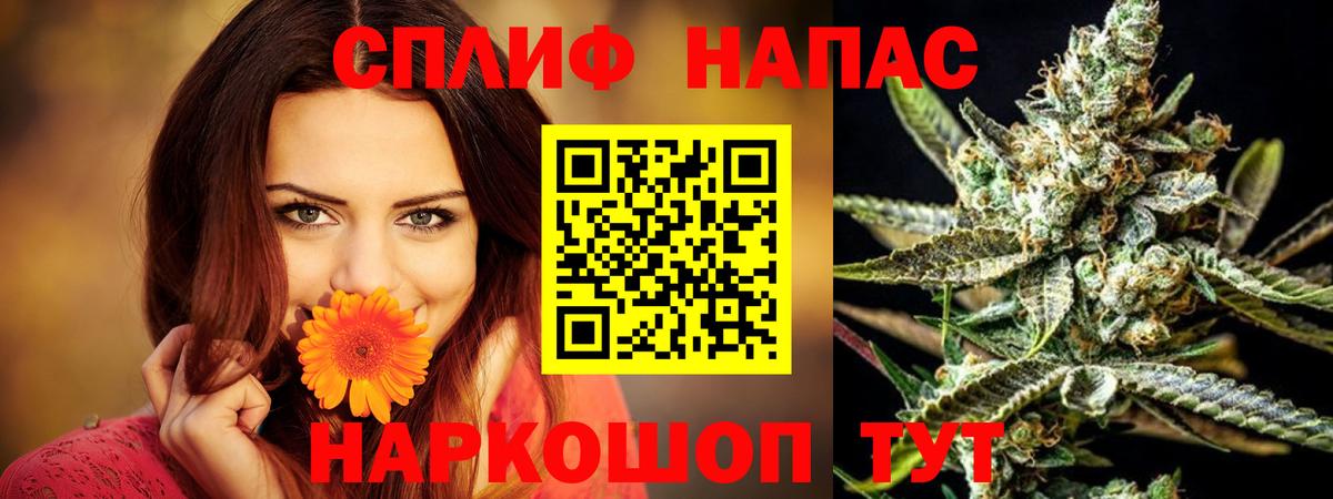 Канабис конопля Ачхой-Мартан